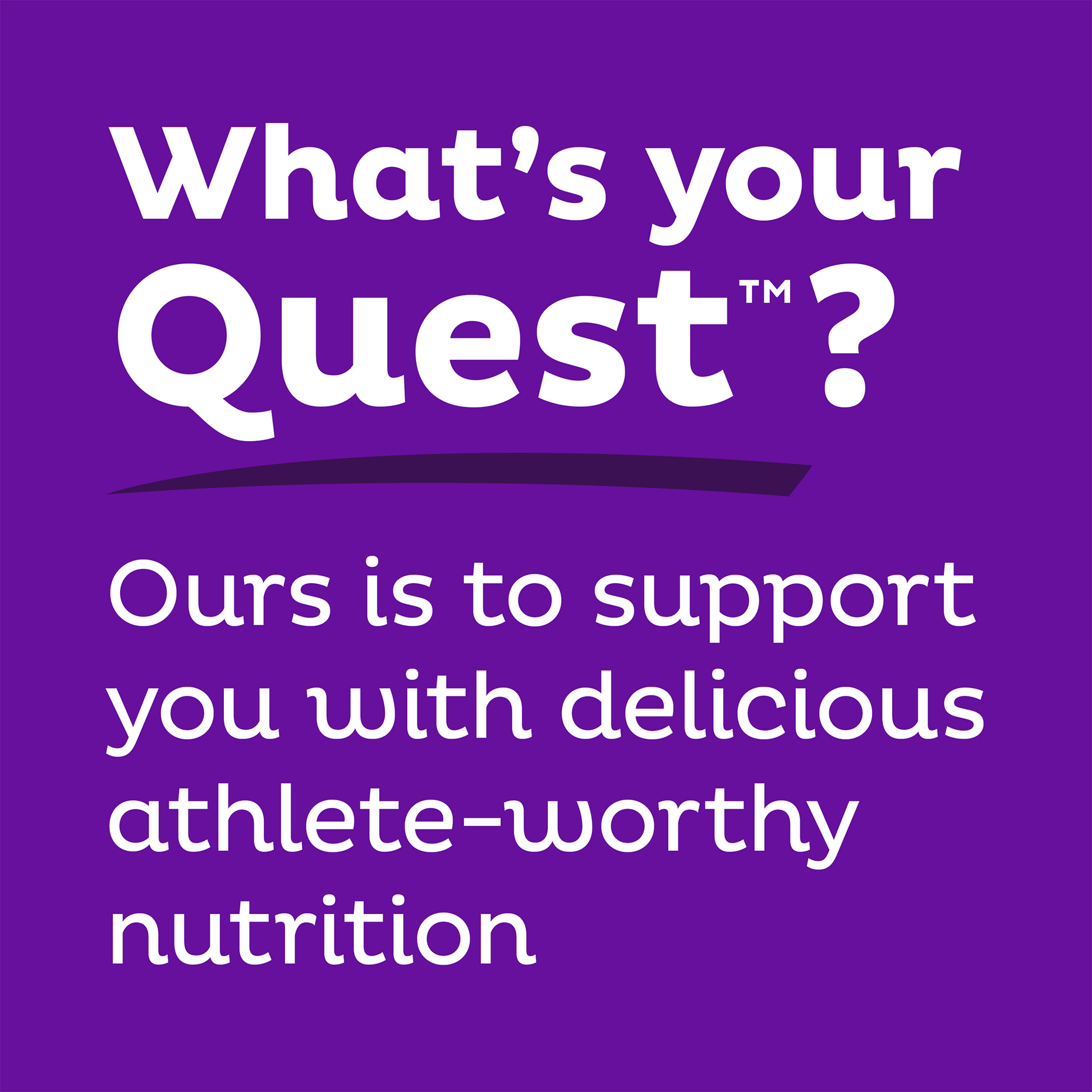 double-chocolate-chunk-protein-bars-u2 qst-000241_double-chocolate-chunk-protein-bars_9.png